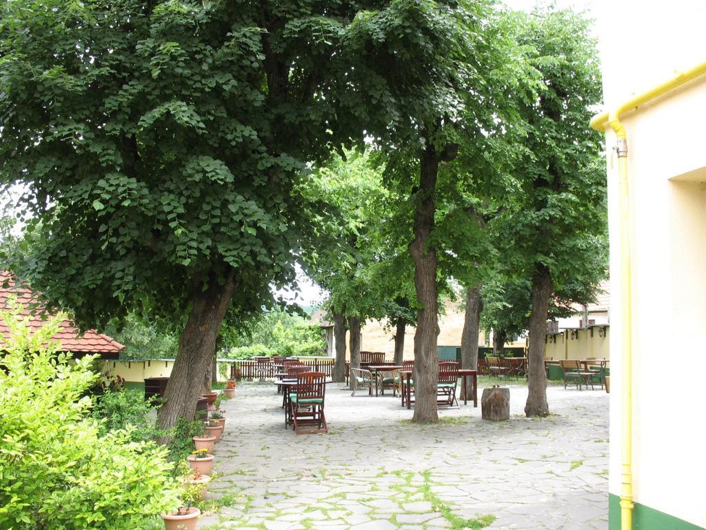 Pensiunea Sub Cetate Cisnădie Exteriör bild