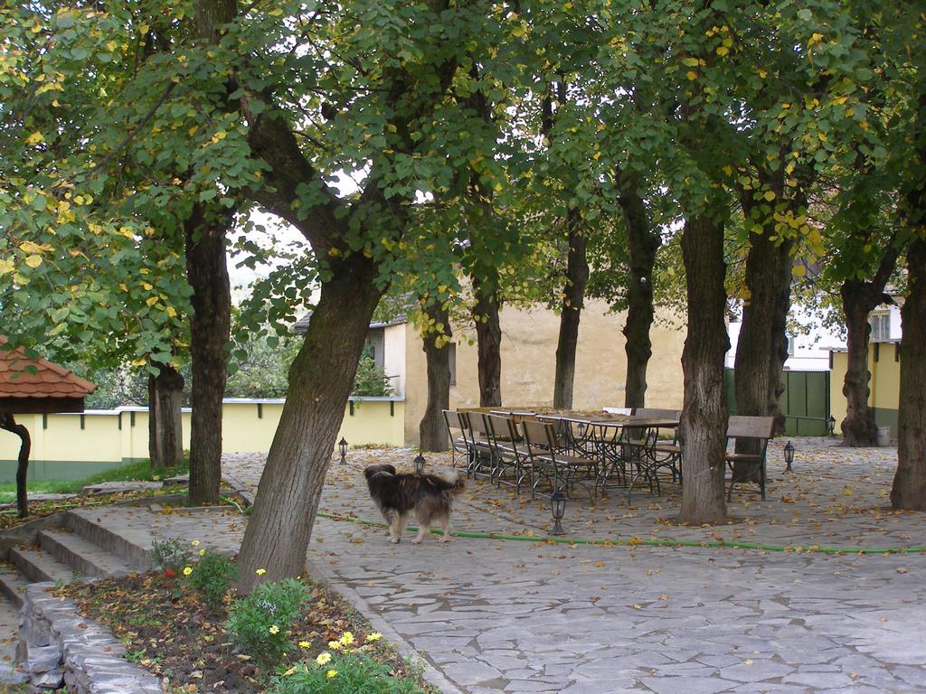 Pensiunea Sub Cetate Cisnădie Exteriör bild
